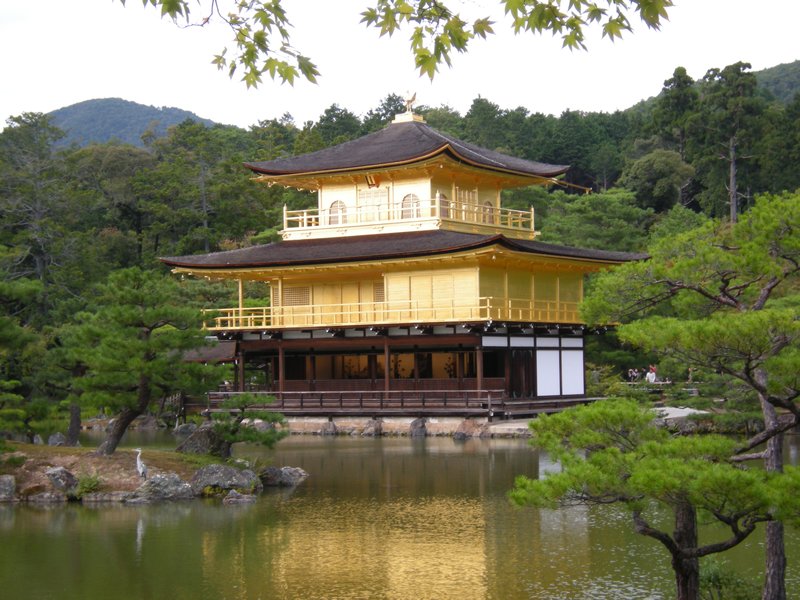 Temple d'or - Kyoto