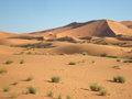 La plus grosse dune