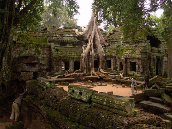 Ta Prohm - a temple being swallowed up by the huge forest