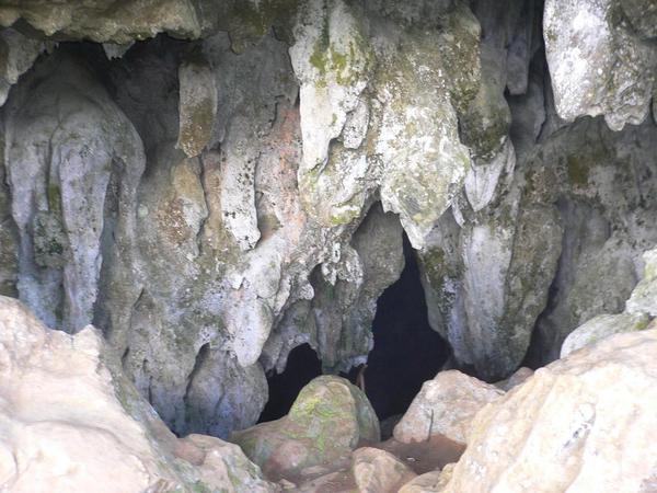Entrance to the dark damp cave