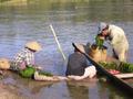 Locals picking river moss