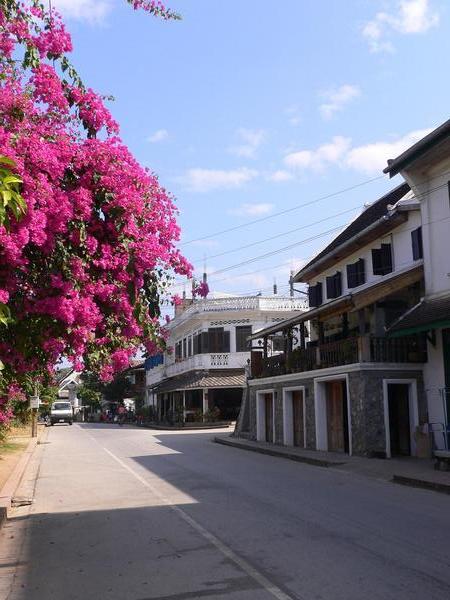 Quiet streets of Luang Prabang