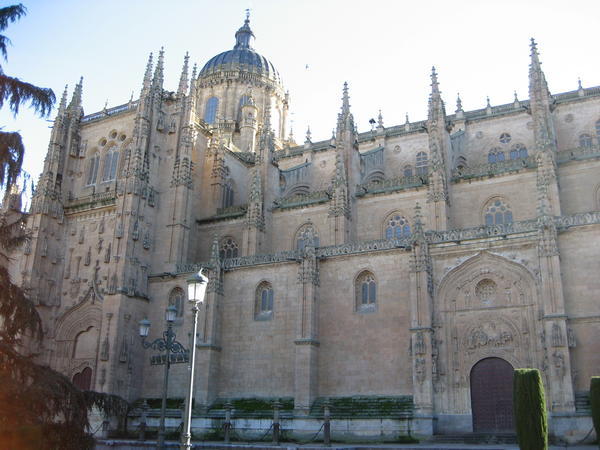 El catedral