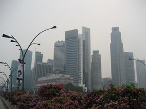 A city hazy with smog...