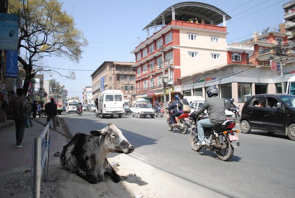 centro de Kathmandu