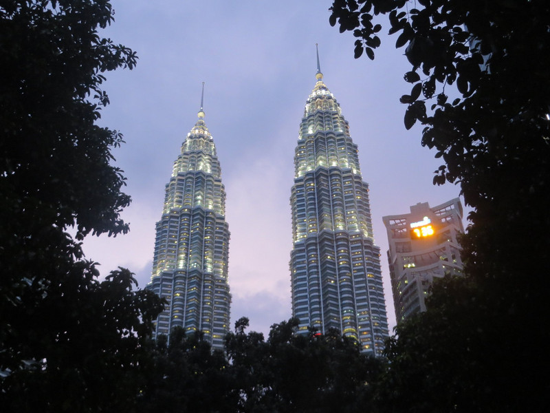 Towers and Trees