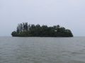 Forested Island
