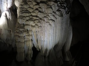 Cave Jellyfish