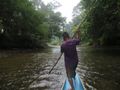 Steering a course through the jungle