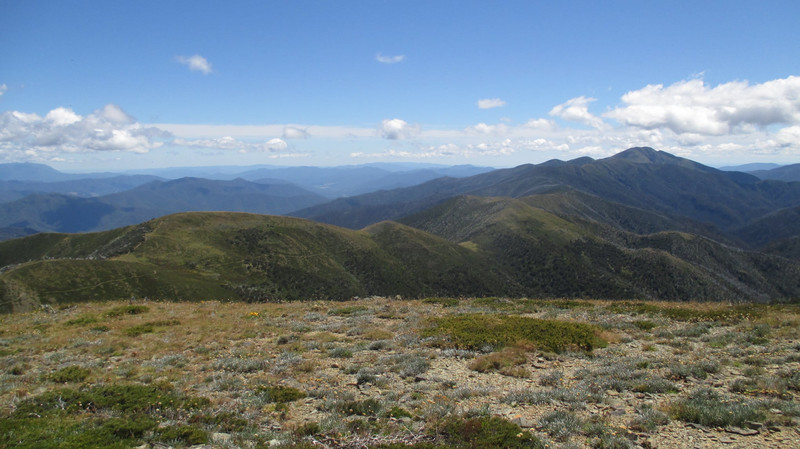 Roller-coaster Ride to Mount Feathertop