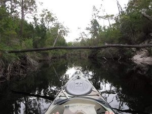 Kayak Limbo