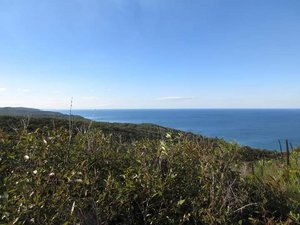 Coastal Panorama