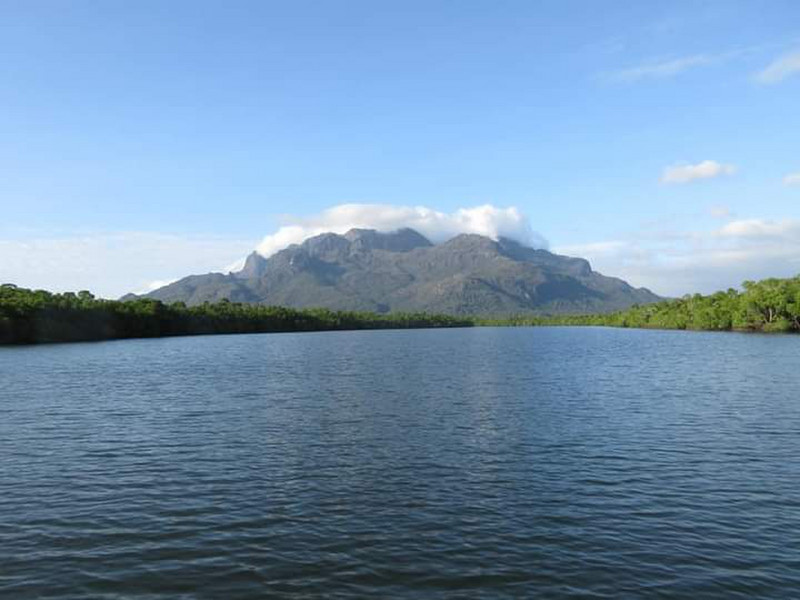 Mangroves and Mountains