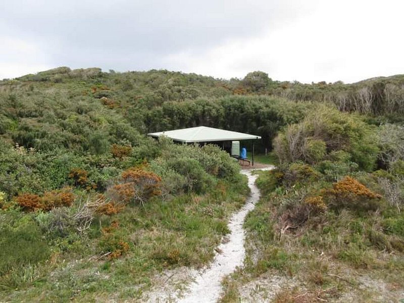 Well-sheltered Campsite