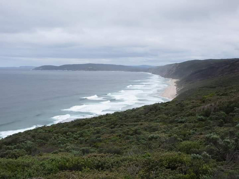Southern Ocean Swells