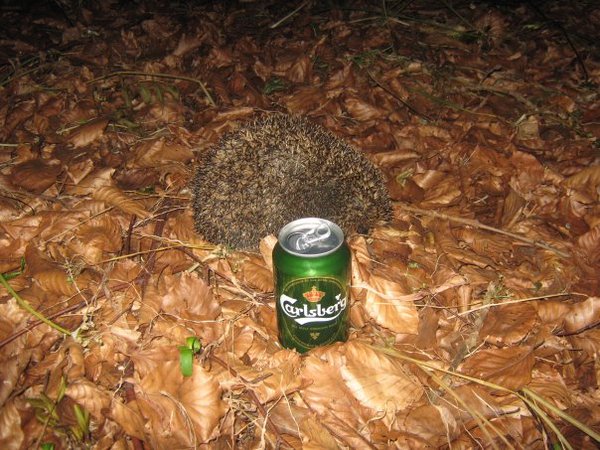 Proof that beer and wildlife do mix