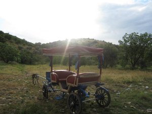 Colourful carriage