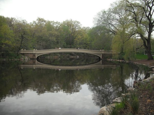 Central Park serenity