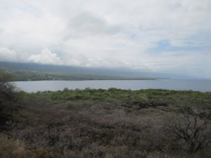 Pacific Panorama