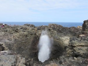 Spouting Attraction