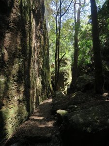 Rock faces and rainforest