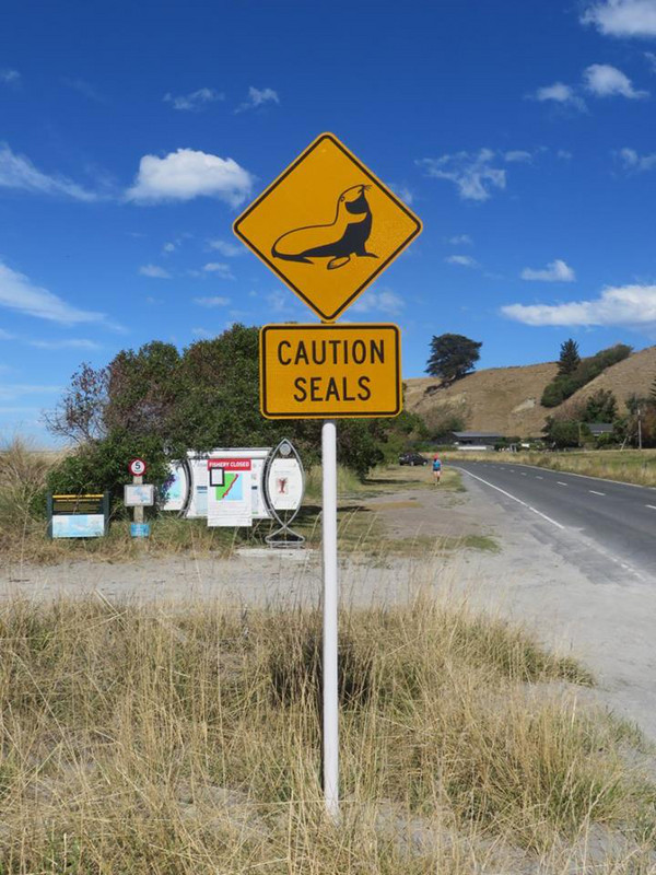 You know you're in Kaikoura when...