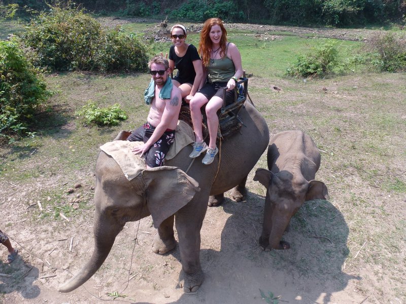 Just riding an almost wild elephant, no big deal...