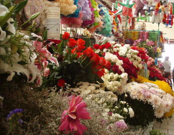 Flowers in the Market
