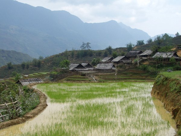 Villages of Sapa