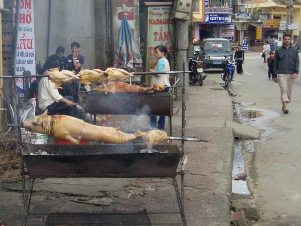 Pigs on a Spit