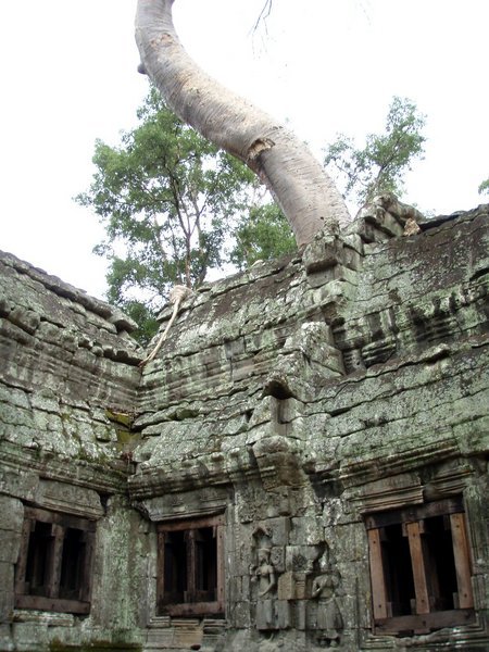 Ta Prohm