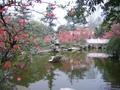 red blossom and a (small) lake in Jinli