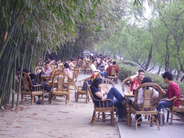 teahouse by the River-Viewing Pavilion