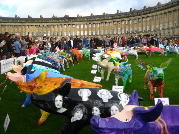 The pigs of Bath