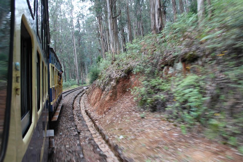 view from 'toy' train to Ooty