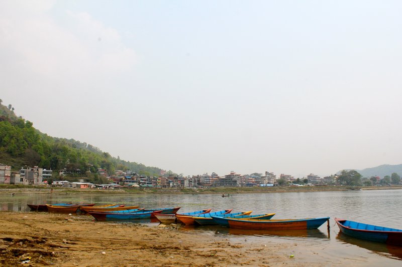 boats at Phewa Tal