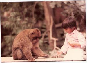 Soraya (4) feeding a monkey