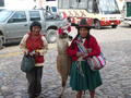 Lady with llama