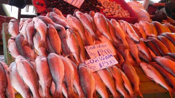 Valdivia fish market