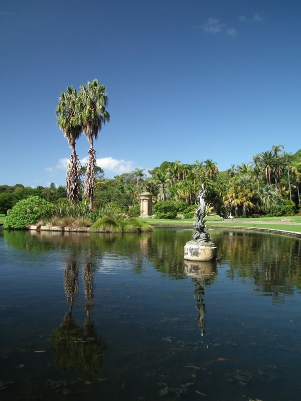 Sydney Royal Botanic Gardens