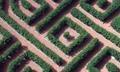 the easiest hedge maze ever