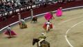junior matadors converge on bull