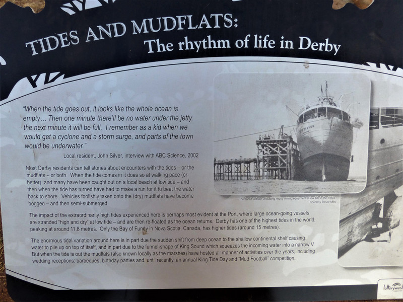 Tides and mudflats explanation