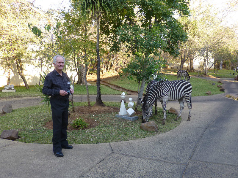 Kevin and the zebras