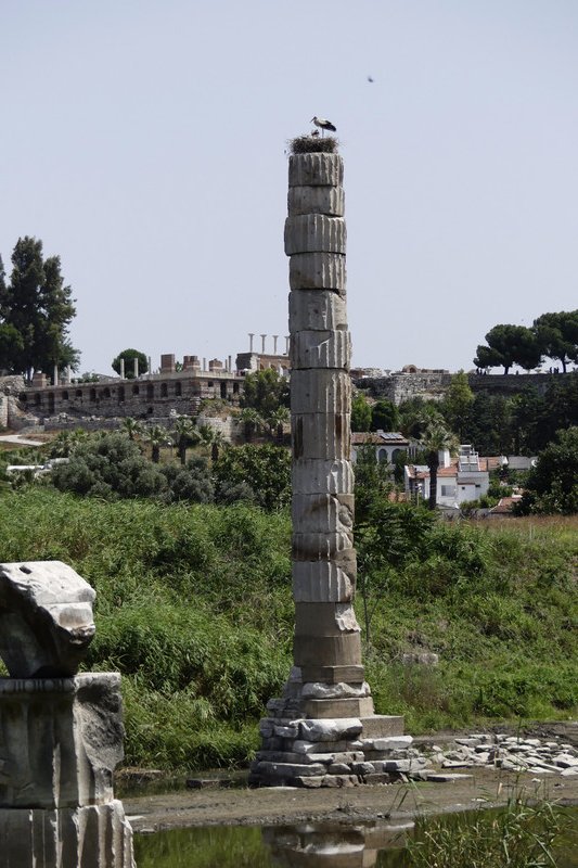 The lone column remains of Temple of Artemis