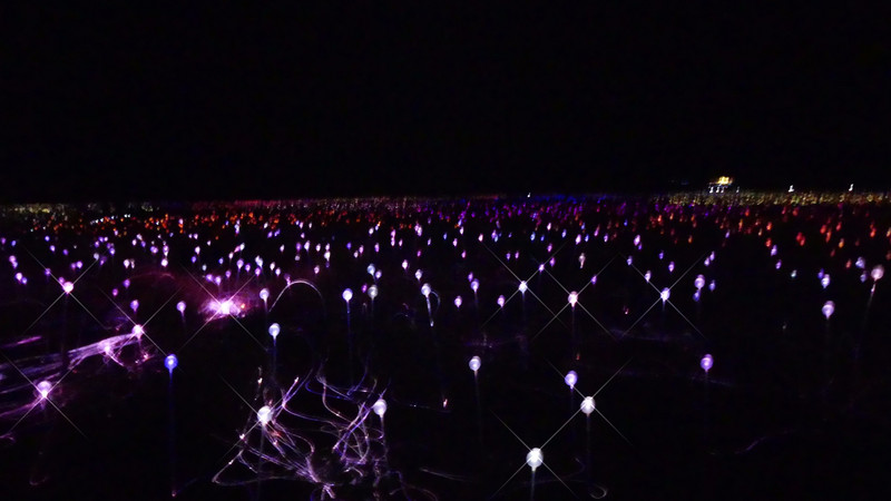 Field of lights installation 