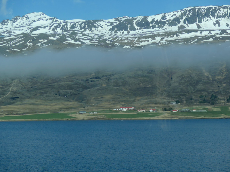 Trapped fog layer above fjord