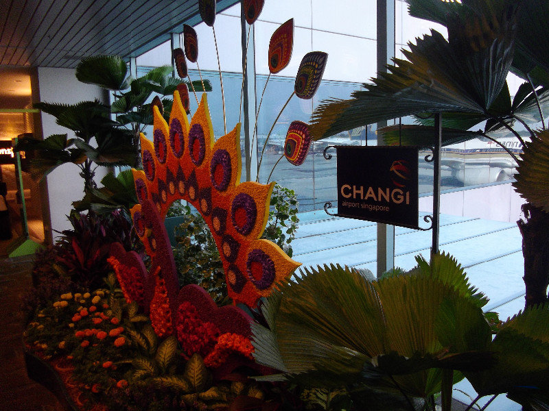 Lotnisko Changi  jeszcze raz.