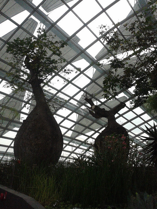 Gardens By The Bay.