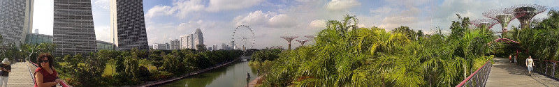 Gardens By The Bay.